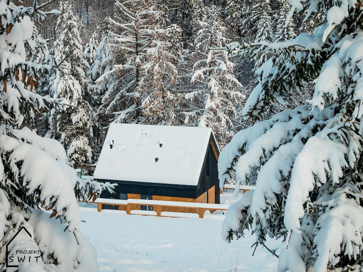 Projekt Swit - Domki Z Prywatna Jacuzzi I Sauna Живец Экстерьер фото